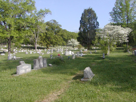 010.jpg