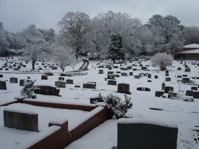 DSC00711.jpeg
