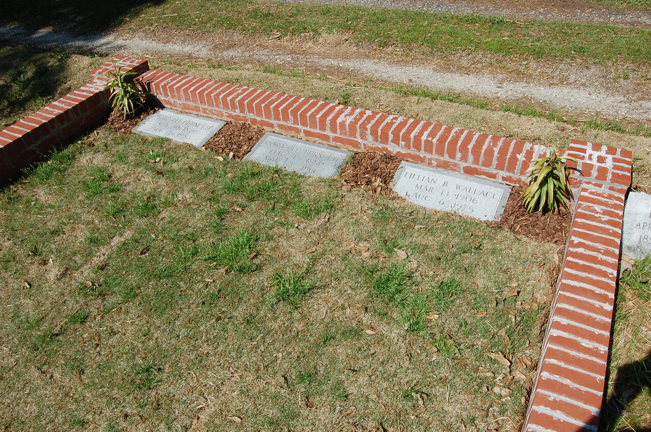 DSC_0135.JPG